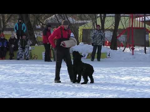 Видео: "Стенка на стенку" 2024