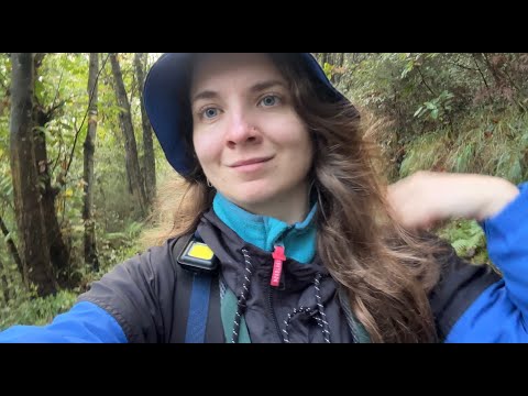 Видео: Путь Сантьяго. 300 км одна пешком по Испании. Часть 2