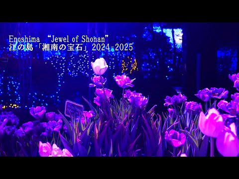 Видео: Фантастические огни Эносимы, зимние тюльпаны и совершенно прекрасный вид на закат над горой Фудзи.