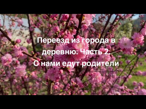 Видео: Переезд из города в деревню. Часть 2. С нами едут родители.