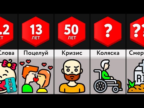 Видео: Как Проходит Жизнь