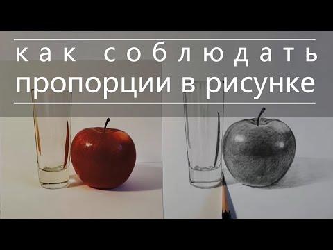 Видео: Как рисовать соблюдая пропорции в рисунке