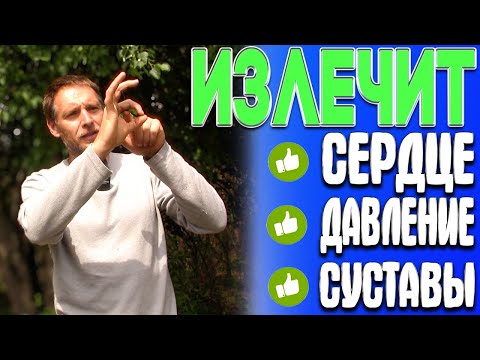 Видео: Всего ОДНО упражнение излечивает пол тела: СЕРДЦЕ, ДАВЛЕНИЕ, СУСТАВЫ, ВЕНЫ и ЛИМФУ. Делай приседания