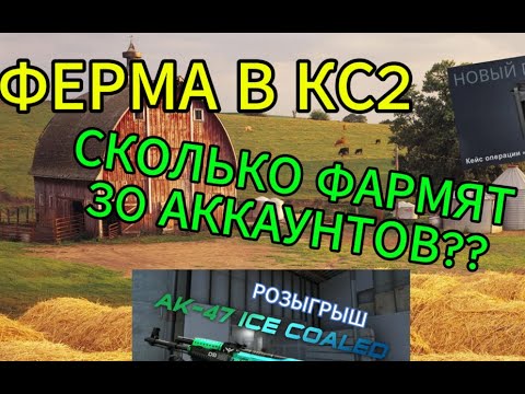 Видео: ФЕРМА В КС2/2 ЧАСТЬ/СКОЛЬКО ПРИНОСЯТ 30 АККАУНТОВ?!