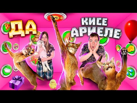 Видео: 24 ЧАСА ГОВОРЮ ДА КОШКЕ АРИЕЛЕ! ДЕНЬ РОЖДЕНИЯ КИСЫ-ПСИХА