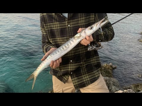 Видео: Turkey shore fishing. Береговая рыбалка в Турции. Каранкс, барракуда