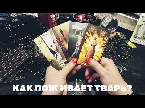 Видео: СЛИЛИСЬ ЛИ ВАШИ ВРАГИ? Таро-прогноз.Ваш враг в панике? Карты показывают КОНЕЦ для них.