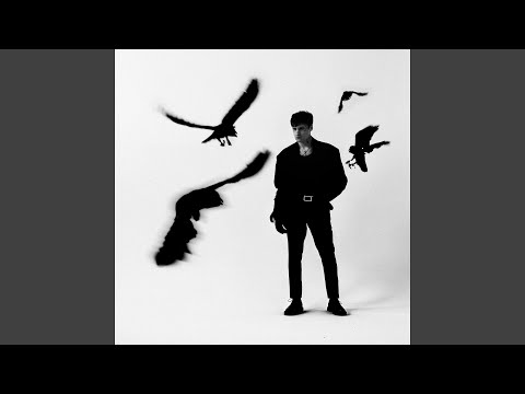 Видео: Вороны