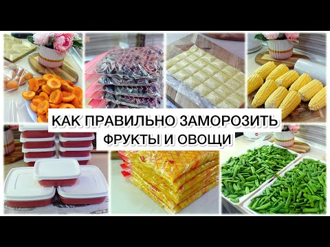 Видео: VLOG🇬🇷: КАК ПРАВИЛЬНО ЗАМОРОЗИТЬ ФРУКТЫ И ОВОЩИ 🌽 🍒🍑🥕🧄🍅