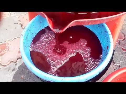 Видео: Домашнее виноделие. Красностоп Золотовский 2017 г.