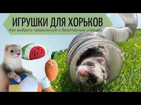 Видео: Игрушки для хорьков. Как выбрать правильную и безопасную игрушку хорьку.