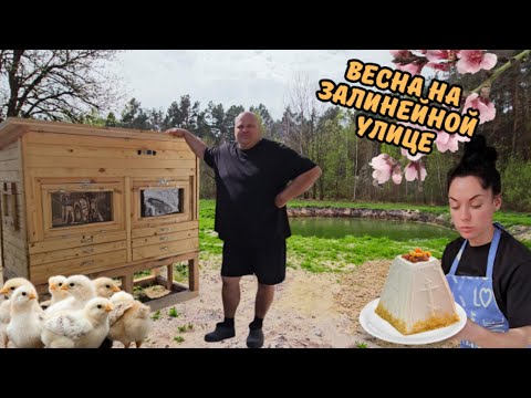 Видео: Брудер для цыплят ГОТОВ✔👌 Даём СТАРТ новому проекту💪 ВЫПУСК 19