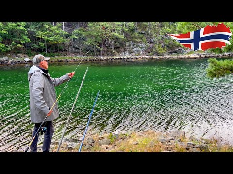 Видео: Норвегія - Форель і Скумбрія біля дому 🇳🇴 Рибна протока - серія 12. Риболовля в Норвегії з берега