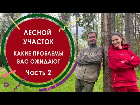 Видео: Лесной участок. Какие проблемы вас ожидают. Часть 2