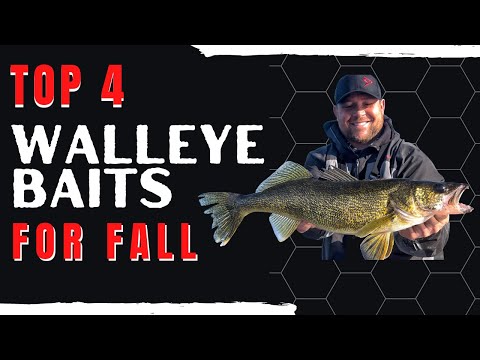 Видео: Гарантированные приманки для осенней рыбалки, которые помогут вам поймать больше судаков