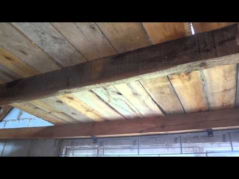 Видео: микроволновка против шашеля