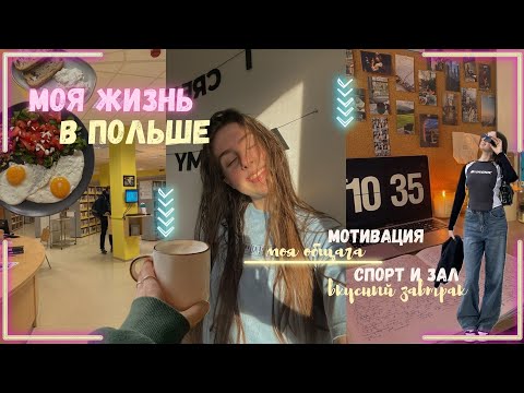 Видео: один день из жизни студентки в Польше