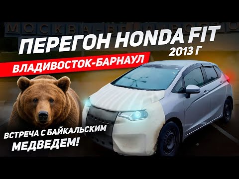 Видео: Перегон HONDA FIT 2013г. L PACKAGE! Владивосток-Барнаул!Встреча с диким зверем на Байкале!