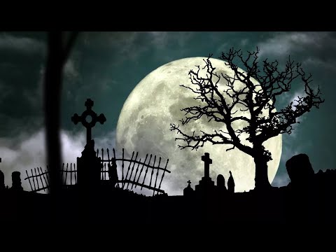 Видео: ПРАВИЛА РАБОТЫ НА КЛАДБИЩЕ ДЛЯ НОВИЧКА