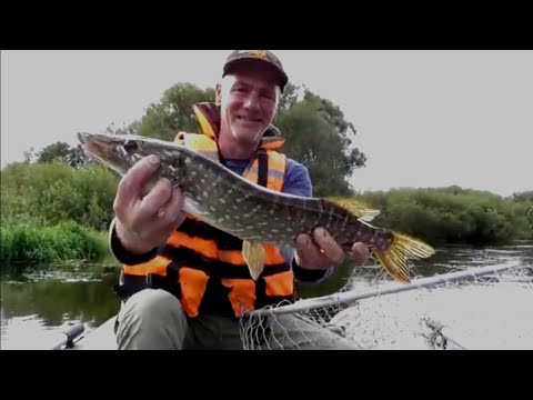 Видео: Неман. ЩУКА НА ВОБЛЕРЫ. Рыбалка в Беларуси.