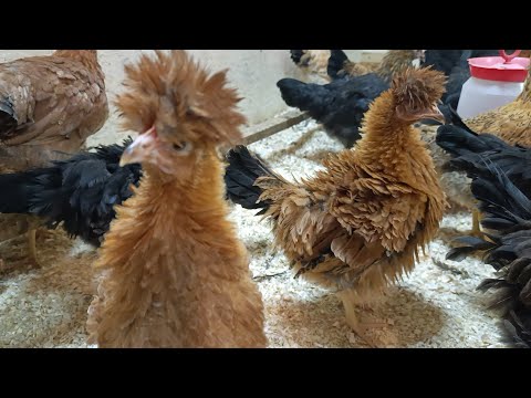 Видео: Начало положено.🥳🤗