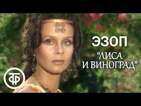 Видео: Эзоп "Лиса и виноград" (1981)