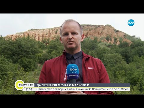Видео: ОЧИ В ОЧИ С МЕЧКА: Разказът на семейство за опасна среща край Стоб - Събуди се...(28.05.2023)