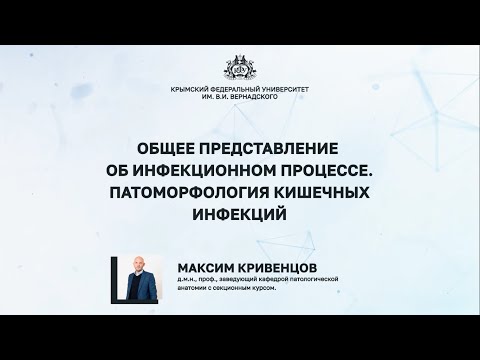 Видео: Общее представление об инфекционном процессе. Патоморфология кишечных инфекций