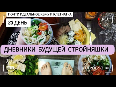 Видео: Дневники похудения|23 день|Хочу сорваться|Установки на похудении|Стройнею с 91.5кг|Что я ем за день|