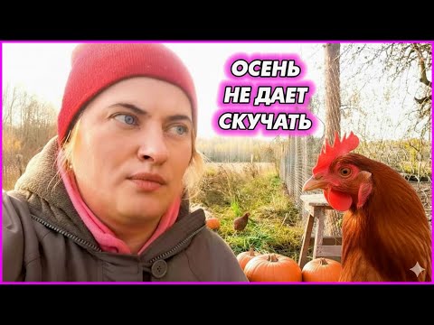 Видео: Спустя 5 лет... все рухнуло. Ураган СНЁС забор! Старинная циркулярка и подготовка к зиме