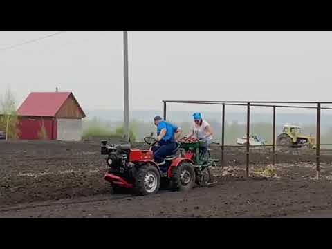 Видео: TZ4K-14  посадка картошки 2021.