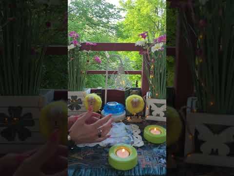 Видео: у Него веселушка а Её поджидают за углом знатные люди