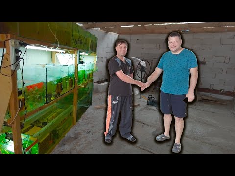 Видео: Максим и его мечта