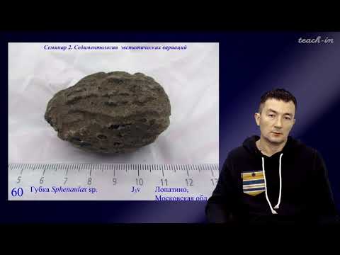 Видео: Габдуллин Р.Р. - Секвентная  стратиграфия. Семинары - 9. Седиментология эвстатических вариаций