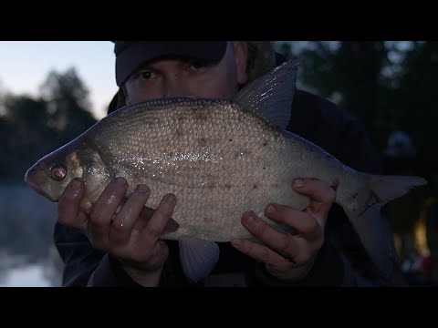 Видео: Ловля леща ночью | Ловля леща на фидер – Часть 2