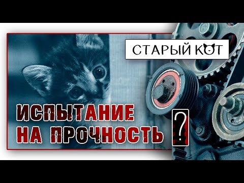 Видео: ДВИГАТЕЛИ КАЛЕЧАТ КОШЕК. Пришла зима.