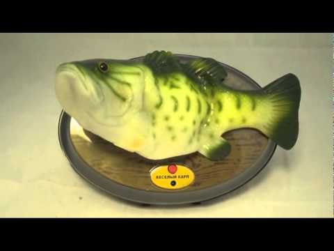 Видео: Поющая рыба КАРП КАРПЫЧ