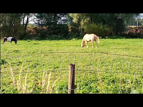 Видео: Когда колодец заплывает плывуном.