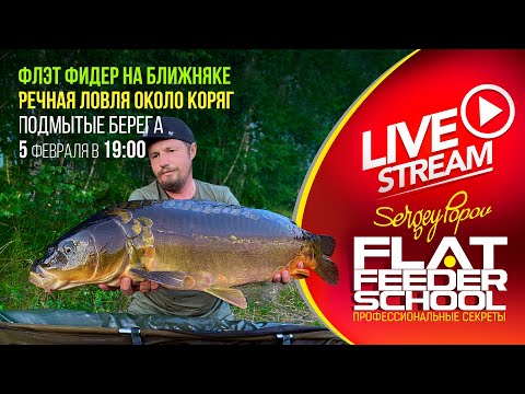 Видео: ФЛЭТ ФИДЕР под ногами / Речная ловля в корягах / #33 Лекция / FLAT FEEDER SCHOOL