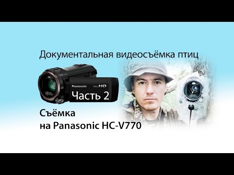 Видео: Документальная видеосъемка птиц. Часть 2. Съемка Panasonic HC-V770