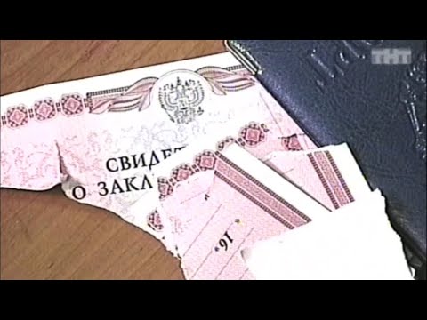 Видео: Алиана Устиненко✖️Саша Гобозов: Развод и варёные шашлыки