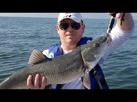 Видео: Рыбалка в Израиле . Трофейный Усач !!!