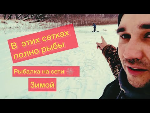 Видео: В ОДНОЙ СНАСТИ МЕШОК РЫБЫ рыбалка сетями зимой 2022-2023