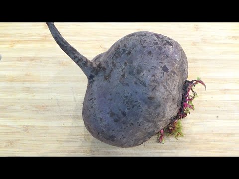 Видео: Салат из ОДНОГО ингредиента❗ Салат из СВЕКЛЫ  вкуснее ШУБЫ которая есть в МЕНЮ топовых РЕСТОРАНОВ 👈