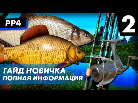 Видео: [НЕ АКТУАЛЬНО] Гайд для новичков - Часть 2 Фидеры Донки Русская Рыбалка 4