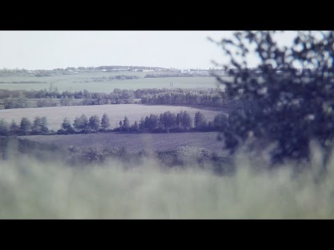 Видео: «В реальном времени». Заповедник «Белогорье» (Анонс)