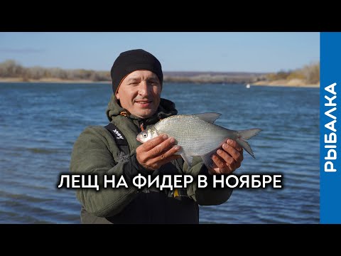 Видео: Лещ на фидер поздней осенью