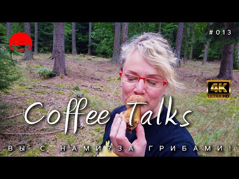 Видео: Вы с нами? За грибами! Чешский лес, как он есть, по быстрому! Coffee Talks Drive #013