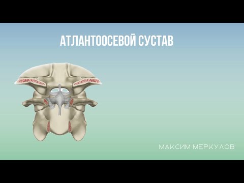 Видео: Атлантоосевой сустав