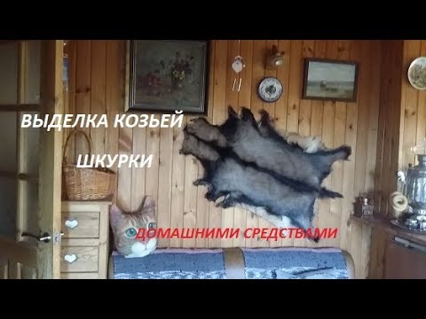 Видео: Как выделать шкурку козлика? Самый простой метод.